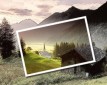 Фотографии