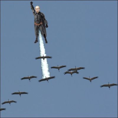 Путин ведет журавлей в космос