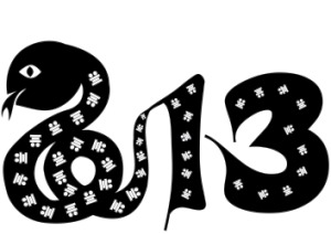 Черная змея Новый Год 2013