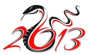 Год Змеи 2013
