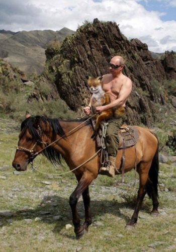 Упоротый лис и Путин на коне