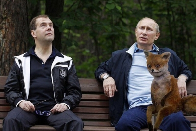 Лиса, Путин и Медведев