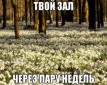 Подснежники