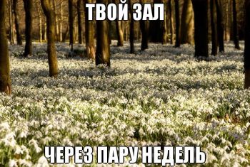 Подснежники