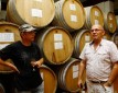 Изготавливаем вино из винограда в домашних условиях