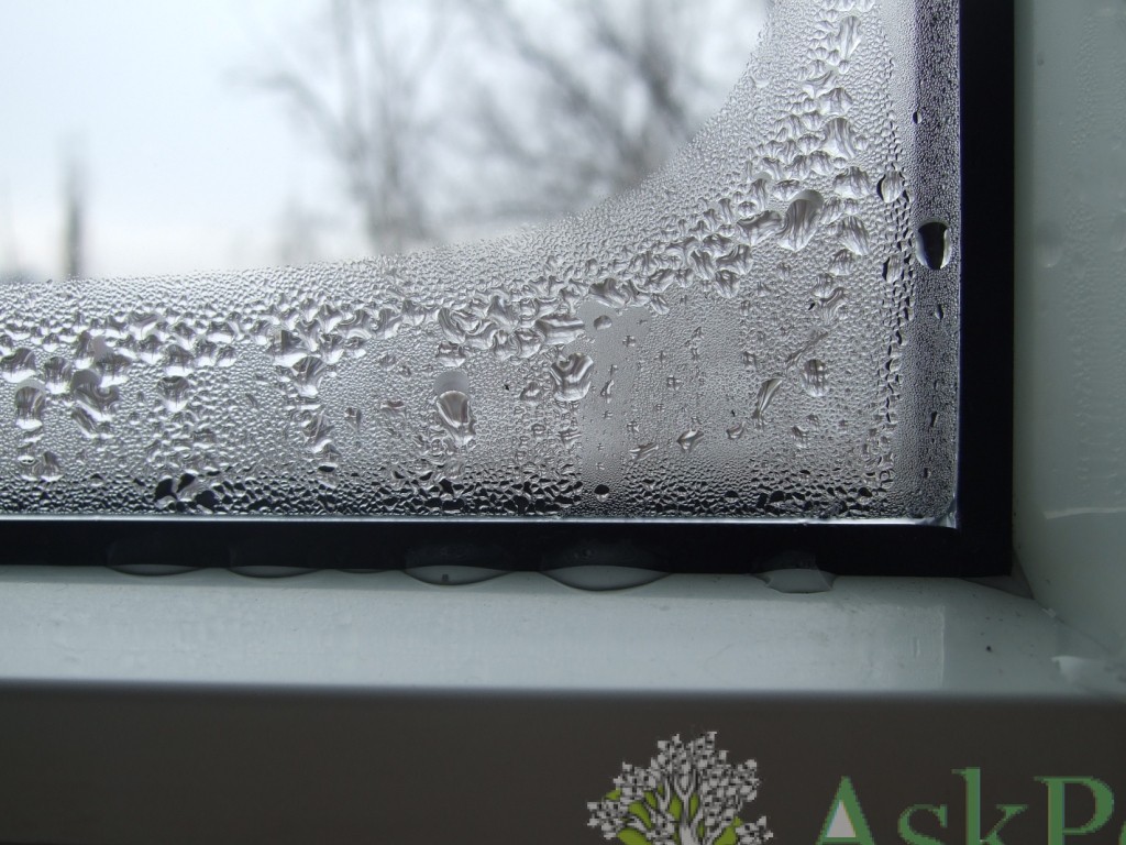 condensate