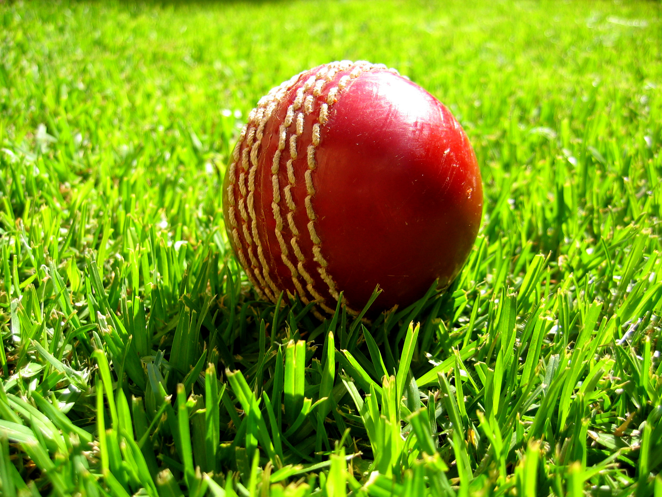cricket-ball