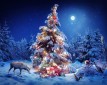 new_year_on_the_forest