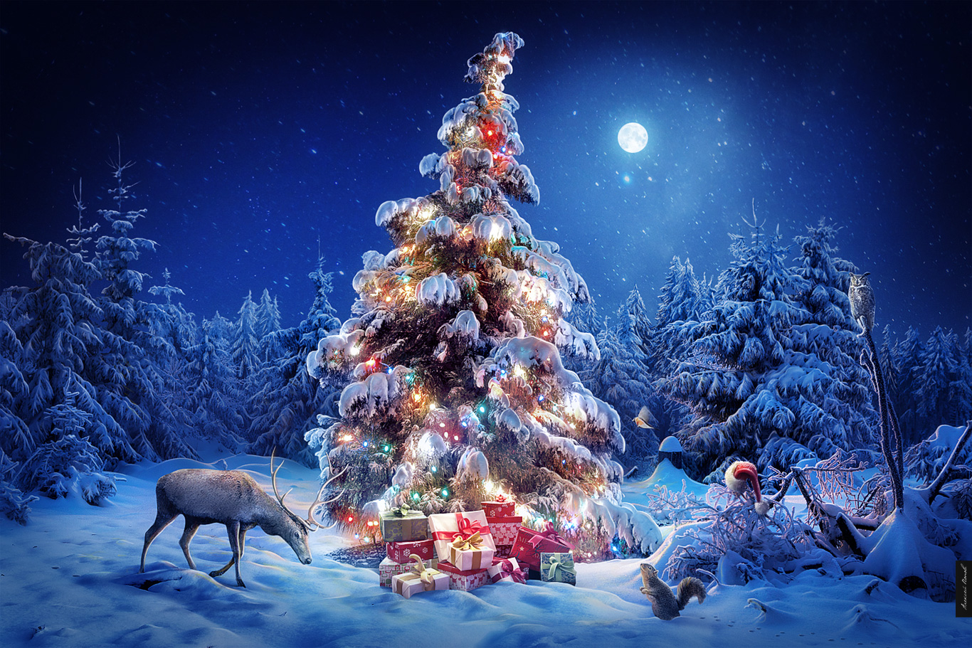 new_year_on_the_forest