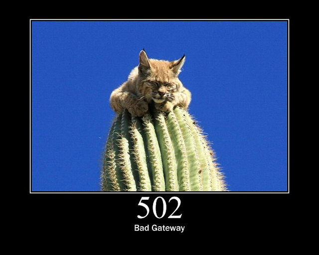 Что значит 502 bad gateway?