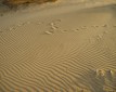Цена тонны песка в 2016 году